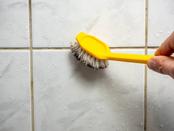 Best Toxic Mold Removal  in Chino Hills, CA