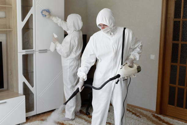 Best Attic Mold Removal  in Chino Hills, CA