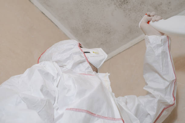 Best Emergency Mold Removal  in Chino Hills, CA